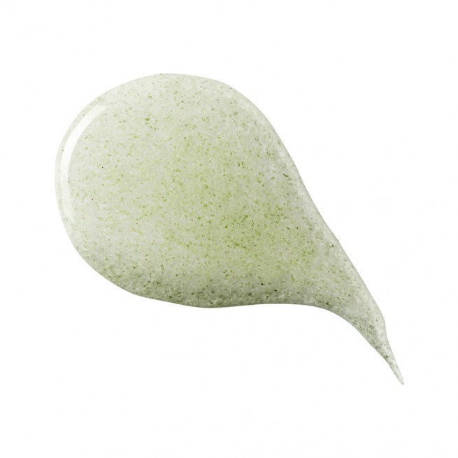 WABI Aloe Vera Face Scrub