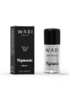 WABI Pigments WP 01
