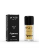 WABI Pigments WP 02