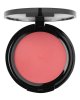 WABI ALL STAR POWDER BLUSH 08 WABI ALL STAR POWDER BLUSH 08